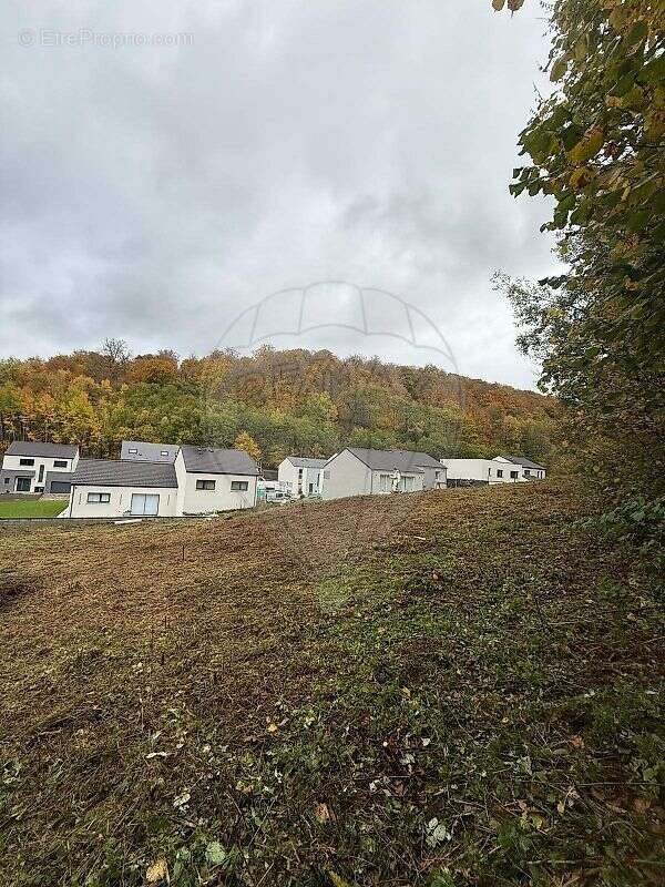 Terrain à HAUCOURT-MOULAINE