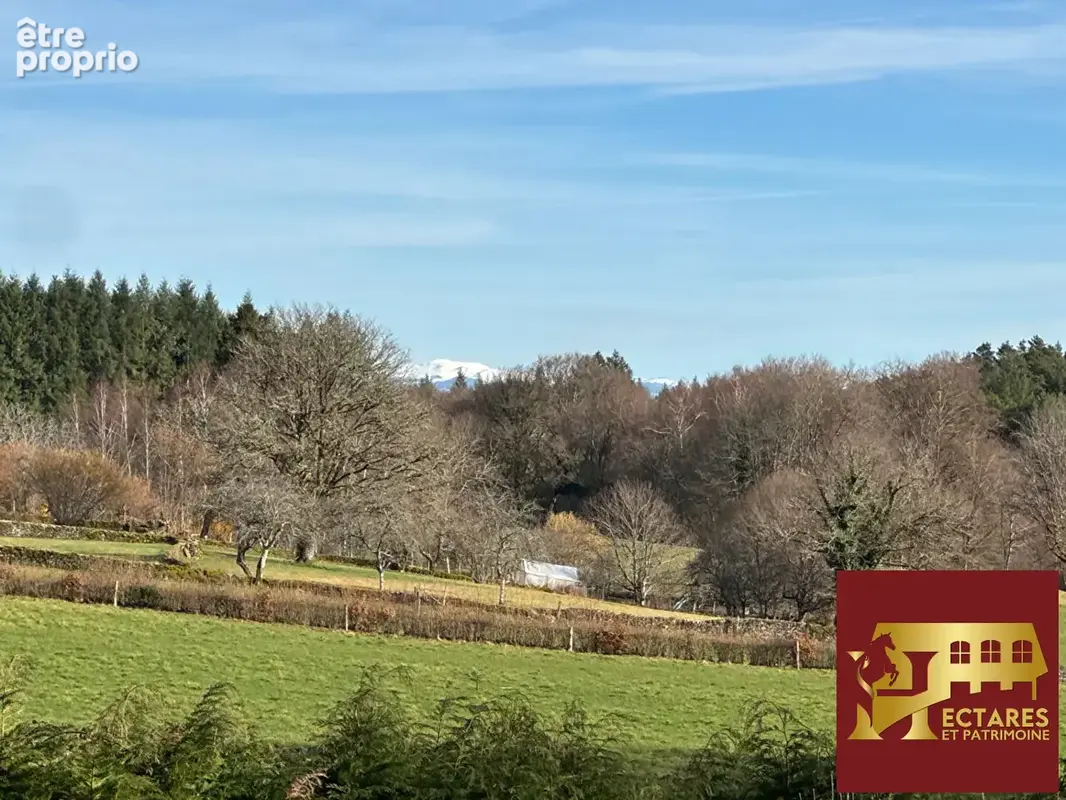 Maison avec boxes sur 1,6 hectare - photo 3
