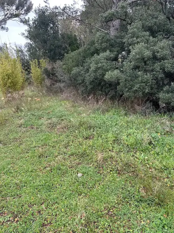 Terrain 528 m² à vendre à Lambesc (13410) - photo 3