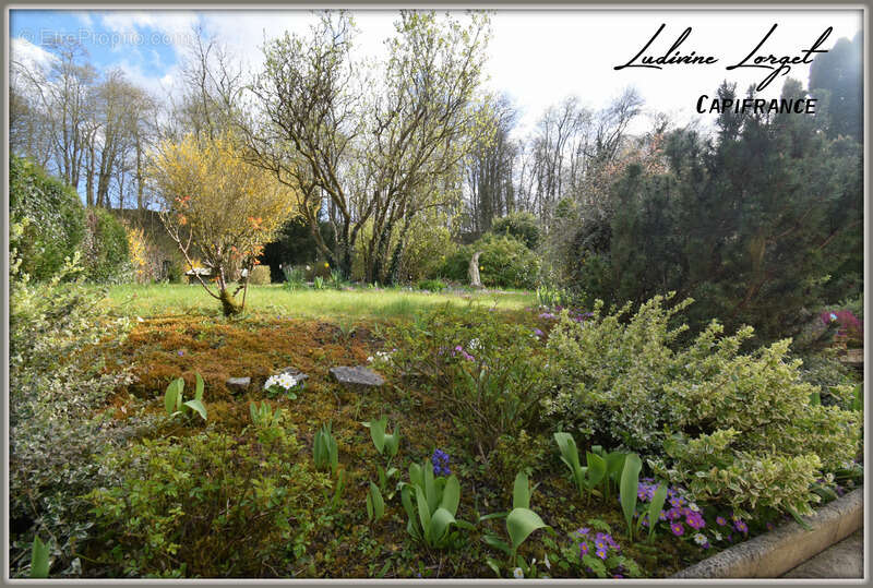 Maison à VILLERS-COTTERETS