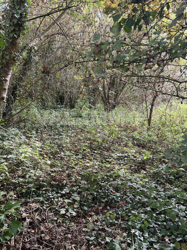 IMG_0659 - Terrain à FECHAIN