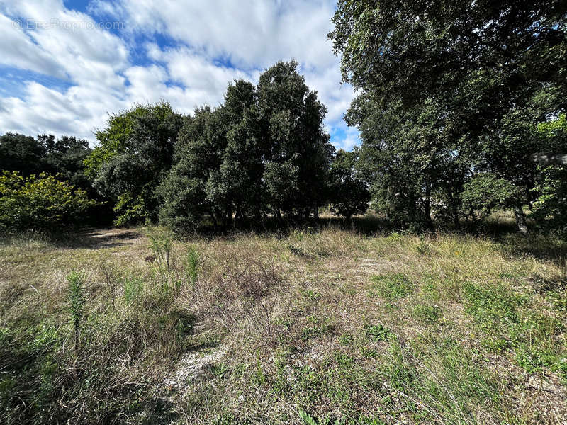 Terrain à GRIGNAN