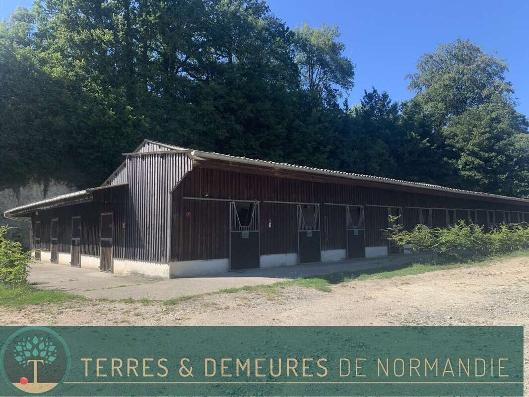 A vendre dans le PAYS D'AUGE du CALVADOS, secteur LISIEUX, haras d'élevage de chevaux sur une surface de 48 ha. - photo 19