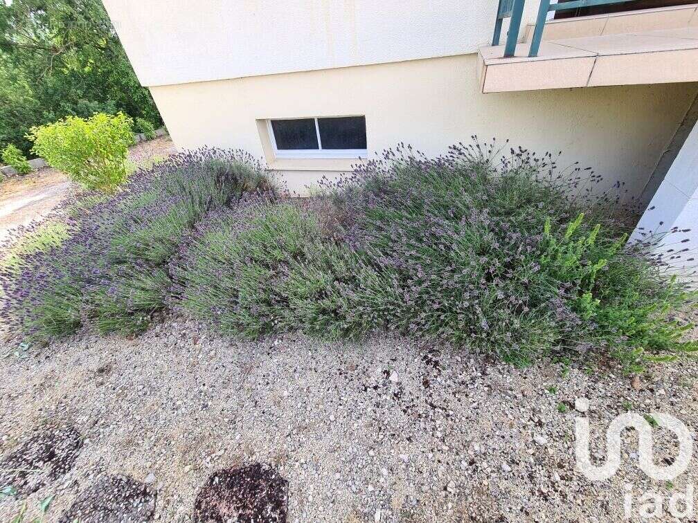 Photo 4 - Maison à GONDRECOURT-LE-CHATEAU