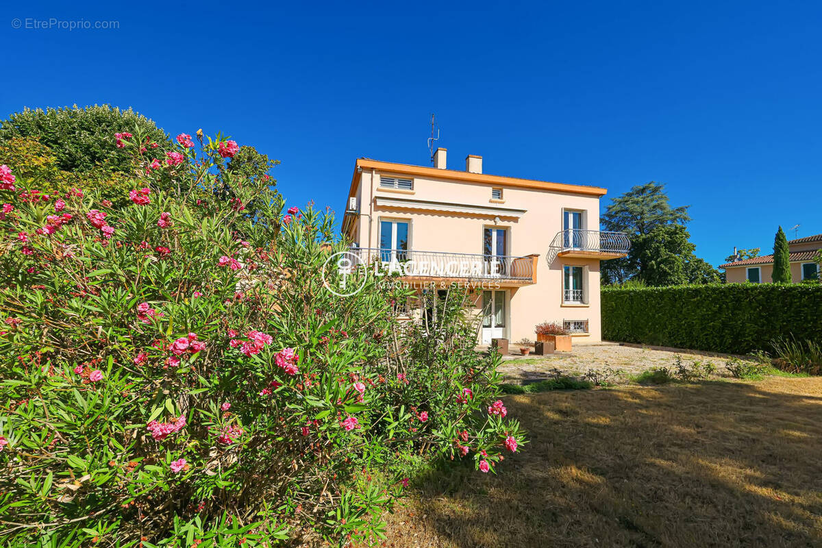Maison à ALBI