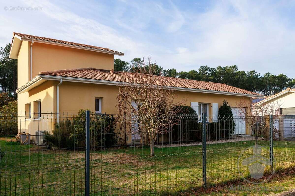 Maison à PARENTIS-EN-BORN