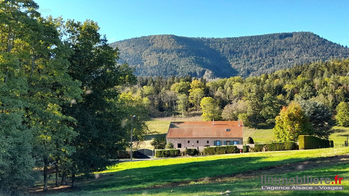 Maison à SAINTE-MARIE-AUX-MINES