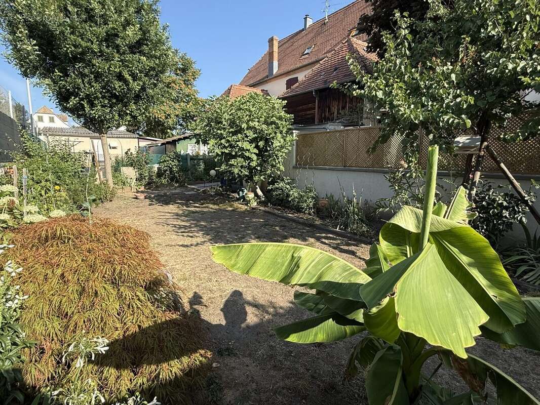 Maison 84 m² à Colmar  - photo 3