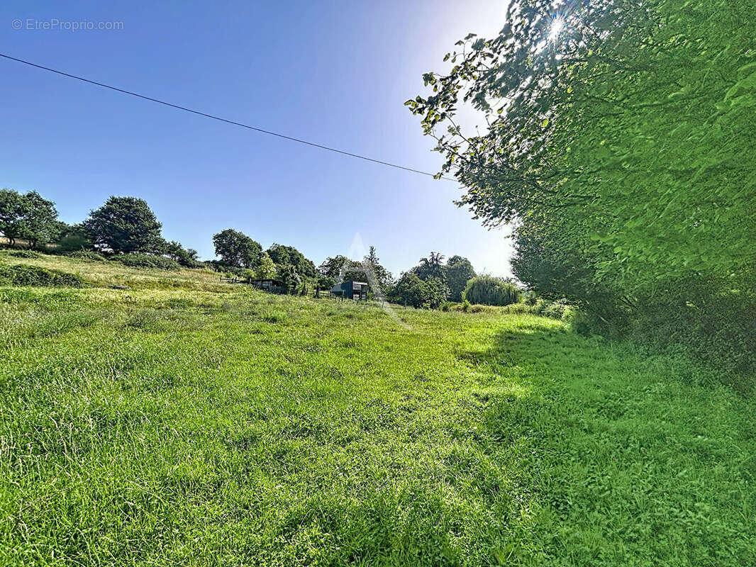 Terrain Loigne Sur Mayenne 23946 m2 - photo 3