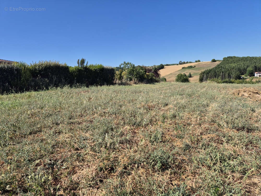 Coteaux de rabastens - photo 2