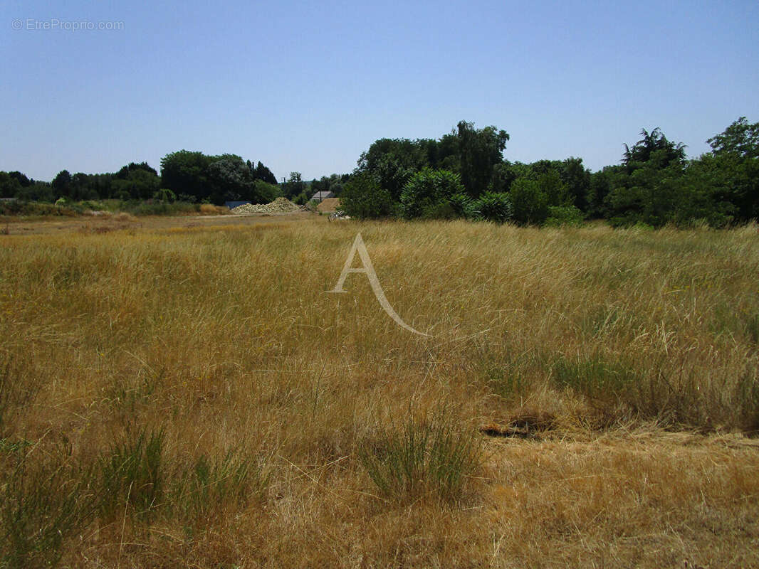 Terrain à THESEE