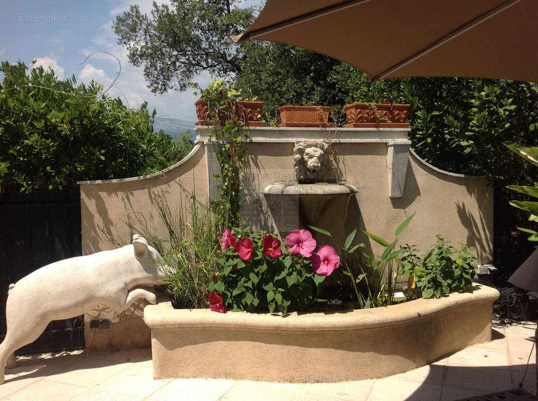 Maison à ROQUEFORT-LES-PINS