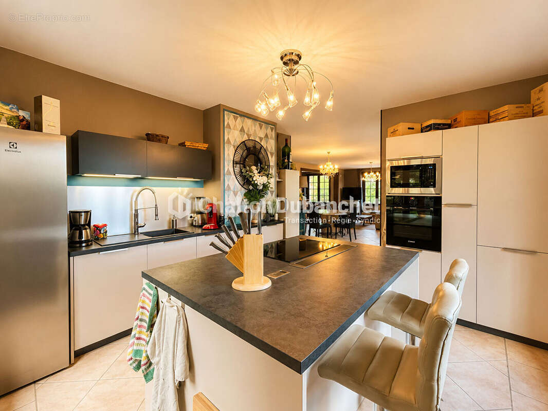 MONTAIGUET EN FOREZ - Maison de 330 m² sur  35000 m² de terrain et deux étangs - photo 11