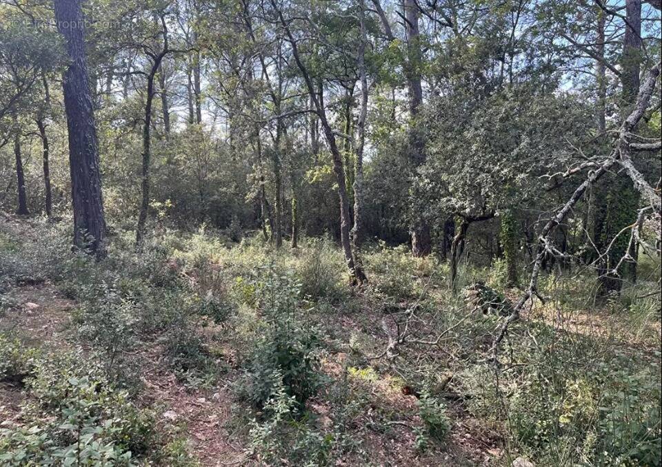 Terrain à LA ROQUEBRUSSANNE