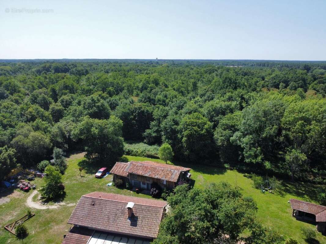 Maison à SAINT-PAUL-EN-BORN