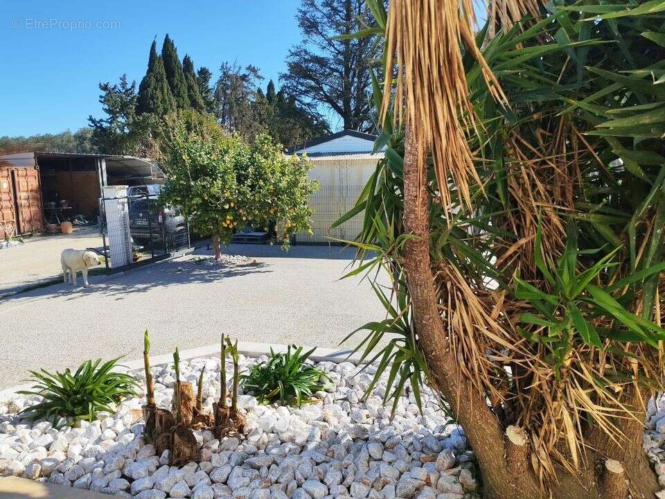 Maison à SAINT-CYPRIEN