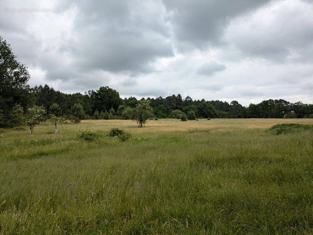 Terrain à CERCOUX