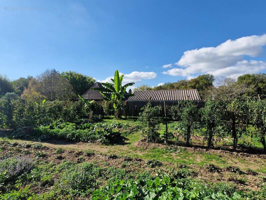 20251016152947 - Maison à BANEUIL