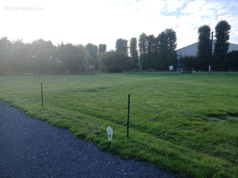 Terrain à SAINT-ANTOINE-LA-FORET