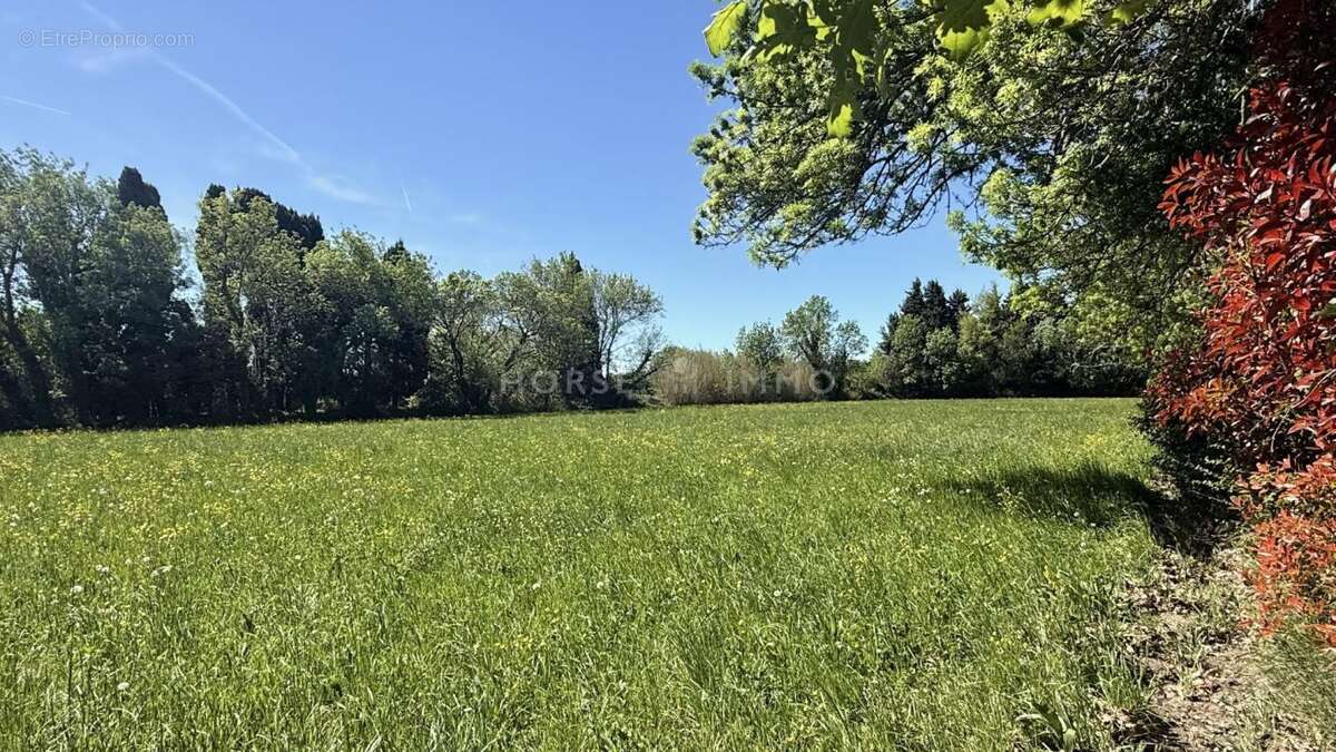 Belle propriété avec deux logements et dépendances - photo 14