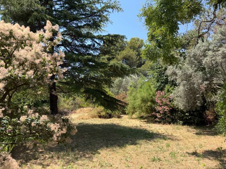 Terrain 1500 m² à Eguilles  - photo 3