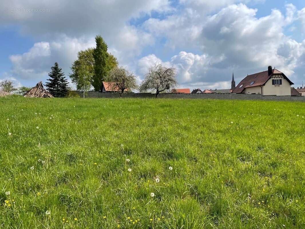 Terrain à STEINBOURG