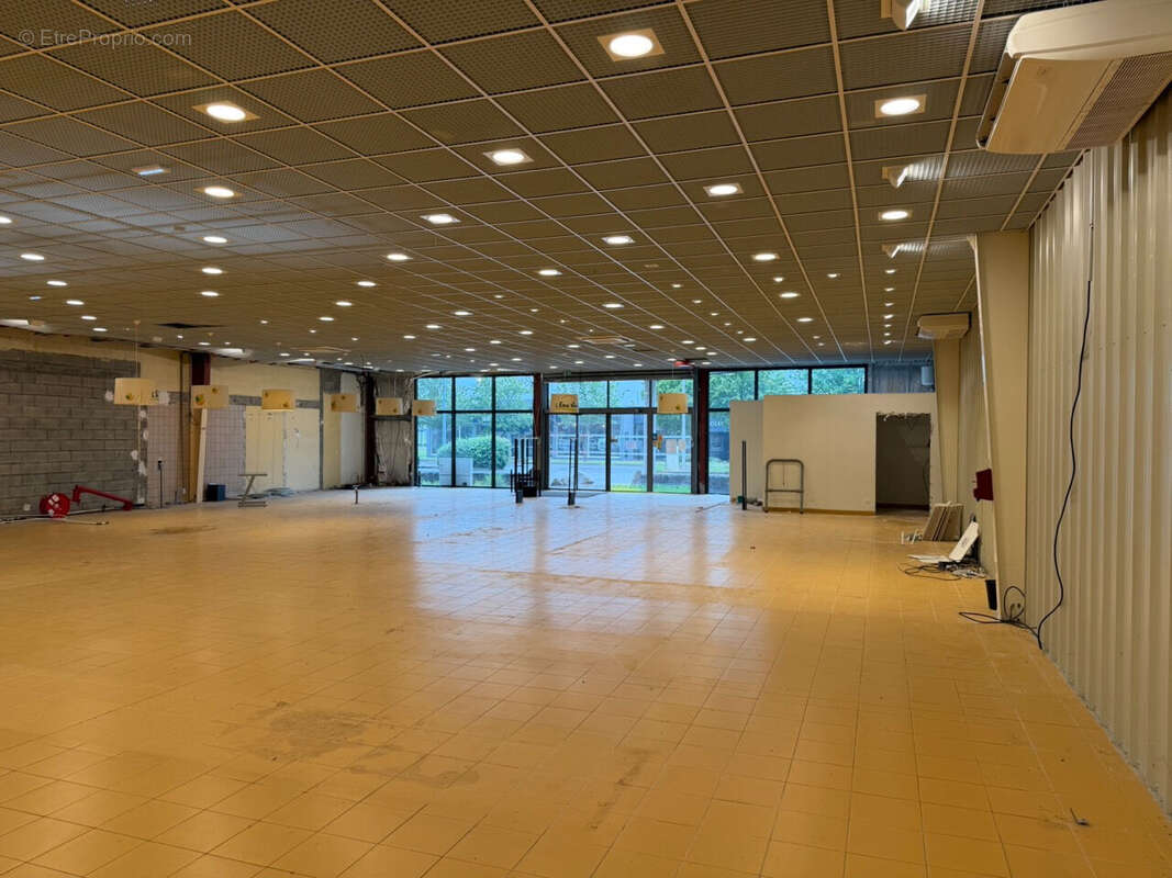 COLMAR - Zone Aérodrome - 4 rue Louis Blériot - 709 m2 - photo 7