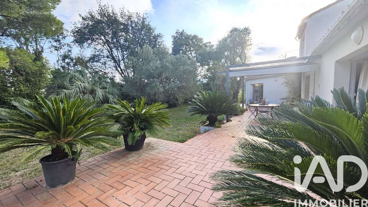 Photo 6 - Maison à MILLAS