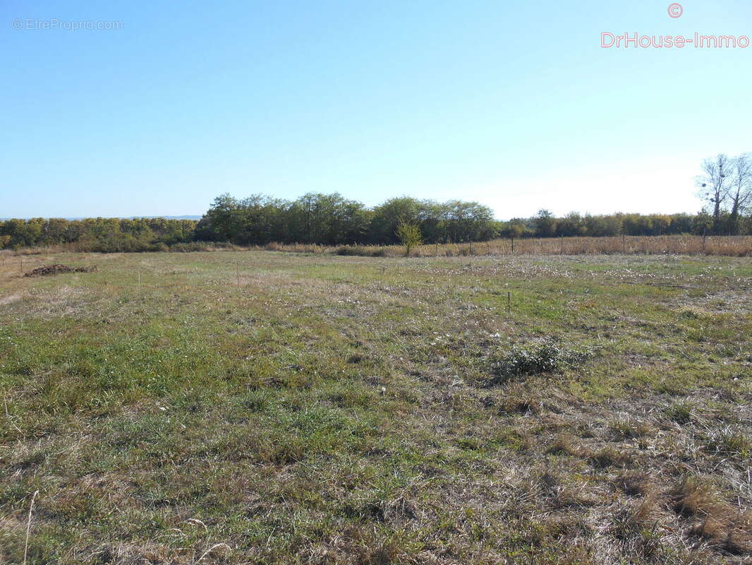 Terrain 1542 m² à Fourques-Sur-Garonne  - photo 3