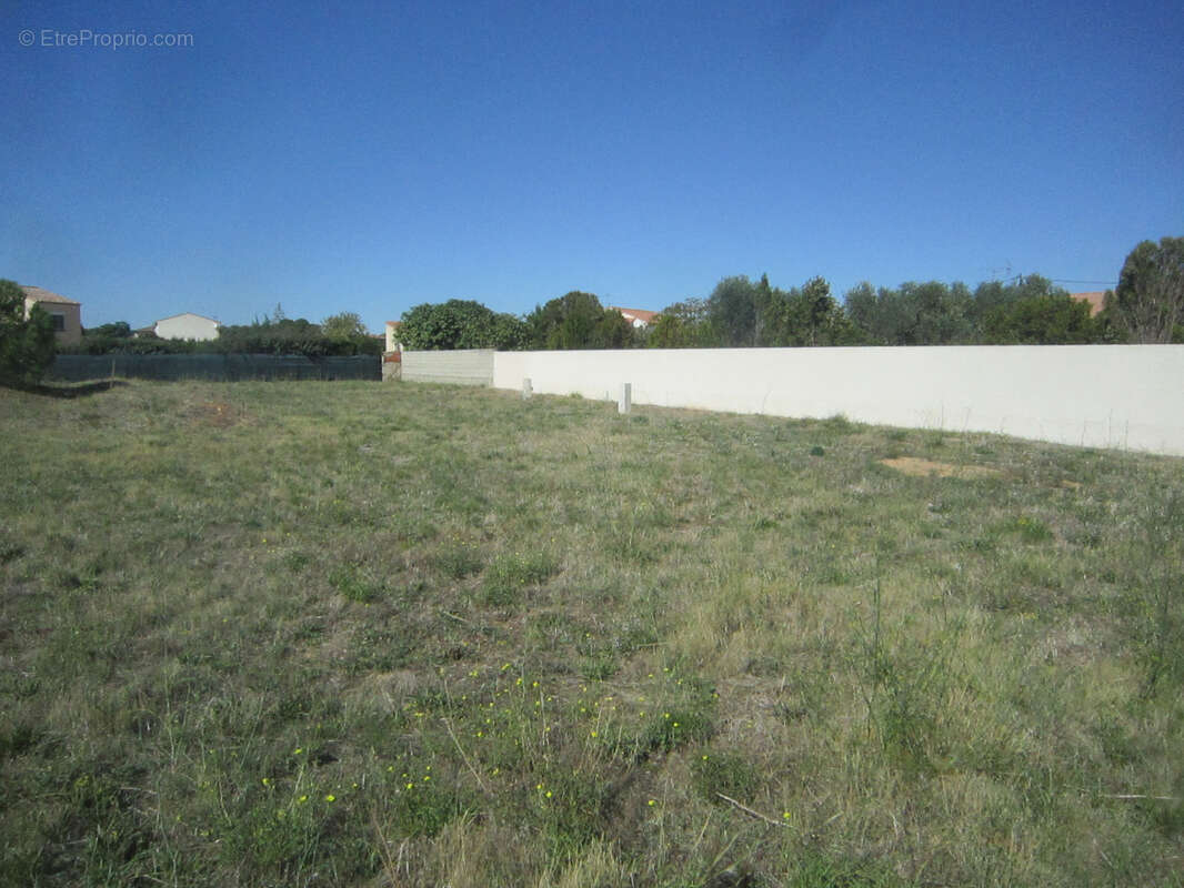 Terrain à SAINT-NAZAIRE-D&#039;AUDE