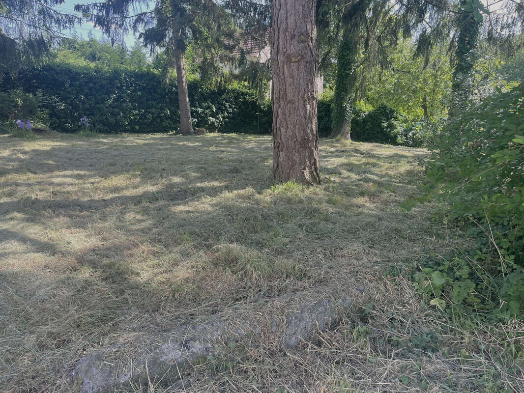 Terrain à SAINTE-GENEVIEVE