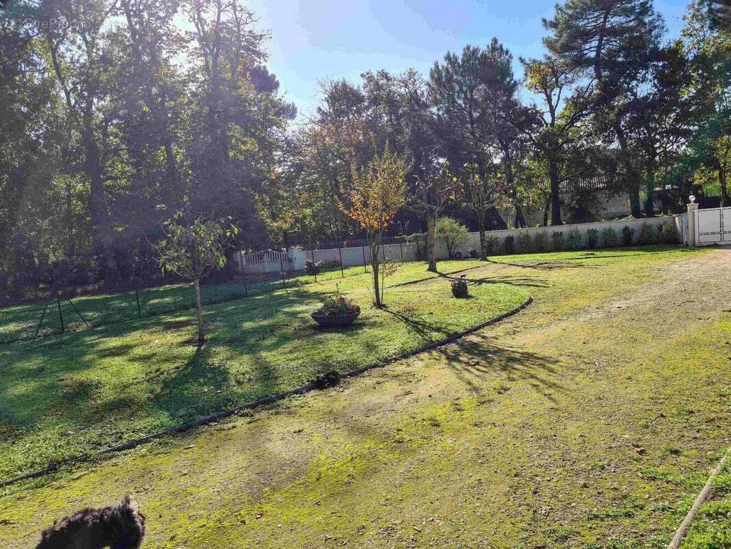 Terrain à LES MATHES