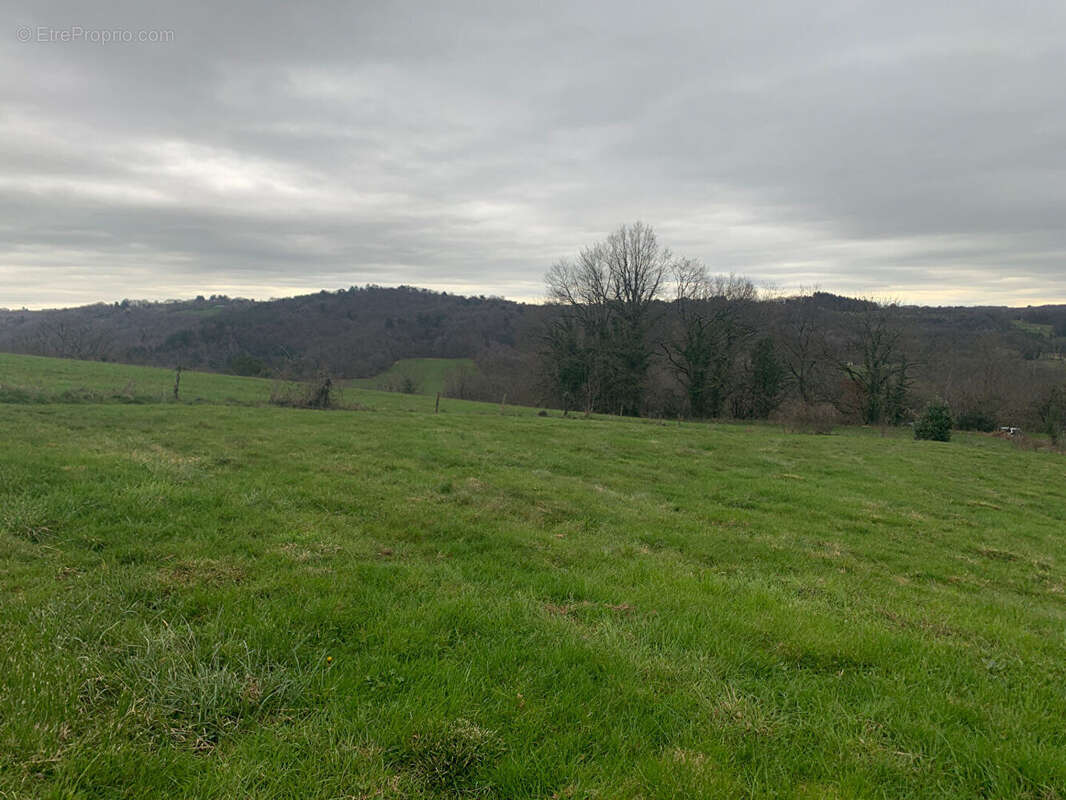 Terrain à CHABRIGNAC