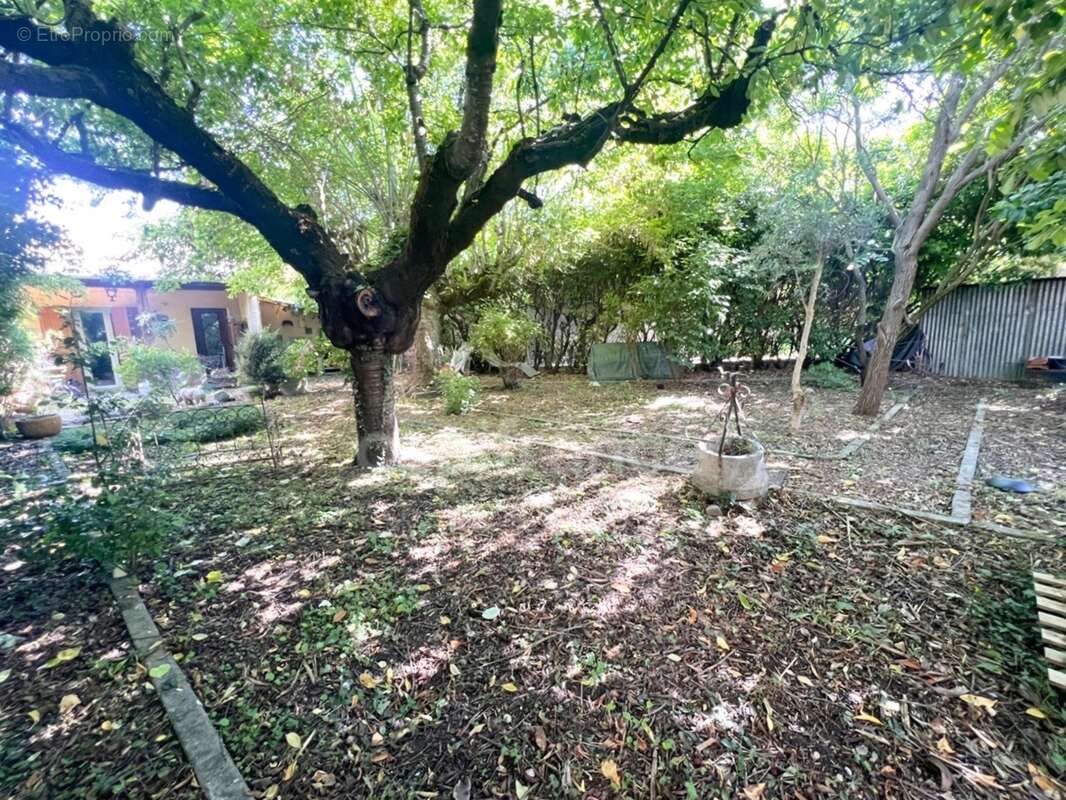 Maison à vendre à Digne-les-Bains – 115 m², 4 chambres, jardin arboré de 300 m², fort potentiel - photo 2
