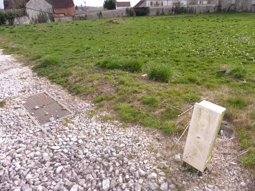 Terrain à LA FERTE-GAUCHER