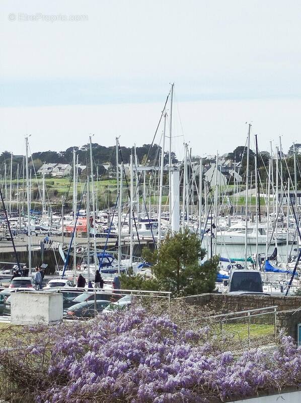 IMG_20260404_160227_edited - Appartement à ARZON