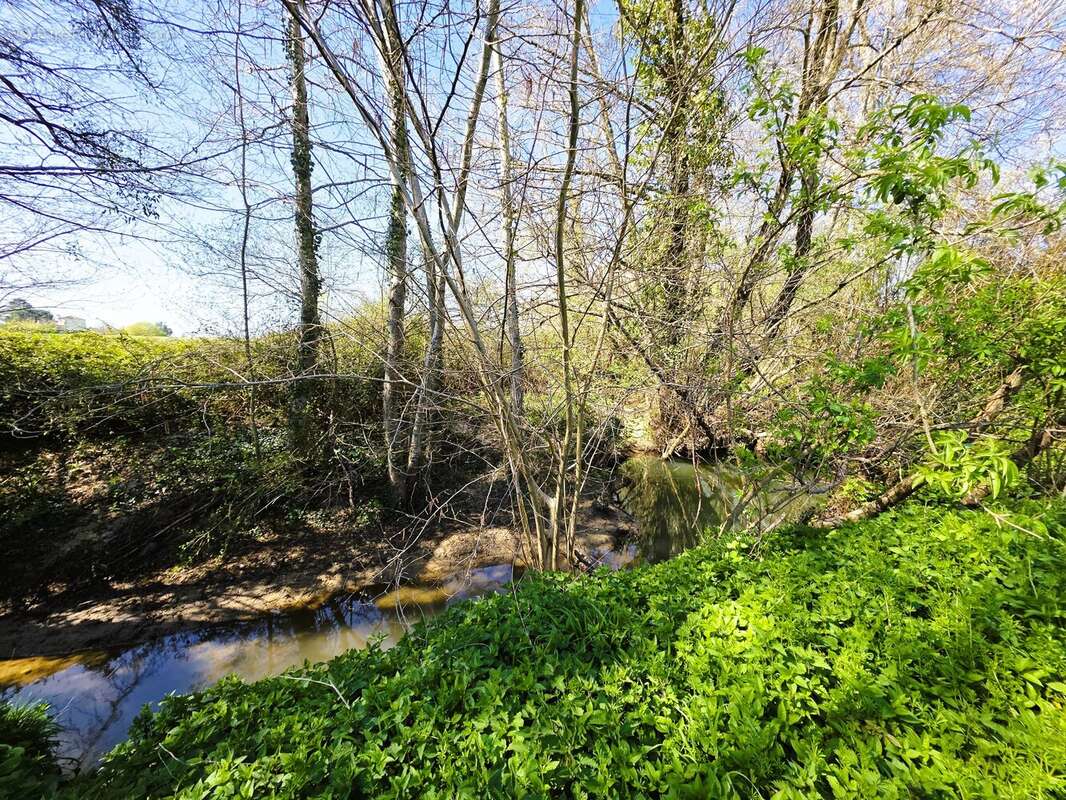 Terrain à MONSEGUR