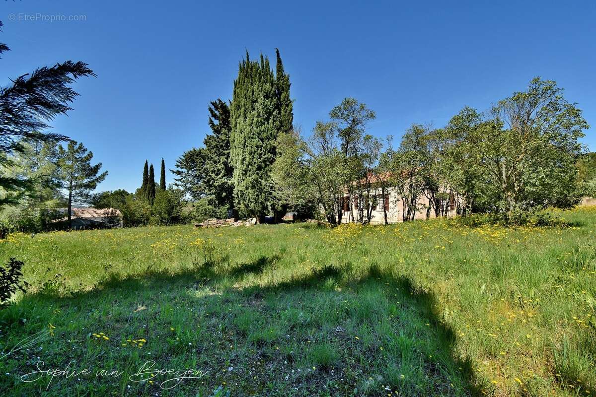 Terrain de 2 846 m² viabilisé à EGUILLES (13) – Vente en totalité ou par lot de 1 423 m² - photo 5