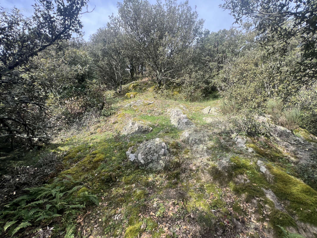 Terrain à SAINT-PERAY