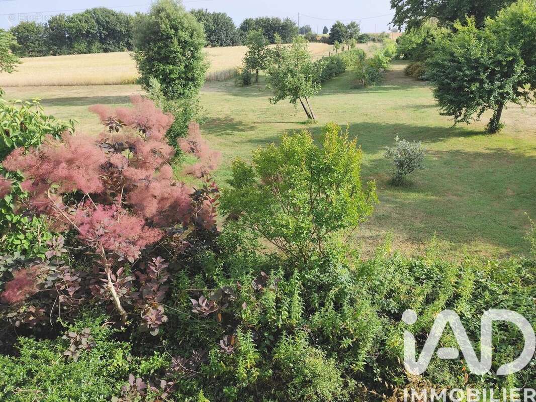 Photo 3 - Maison à SAINT-CLAUD