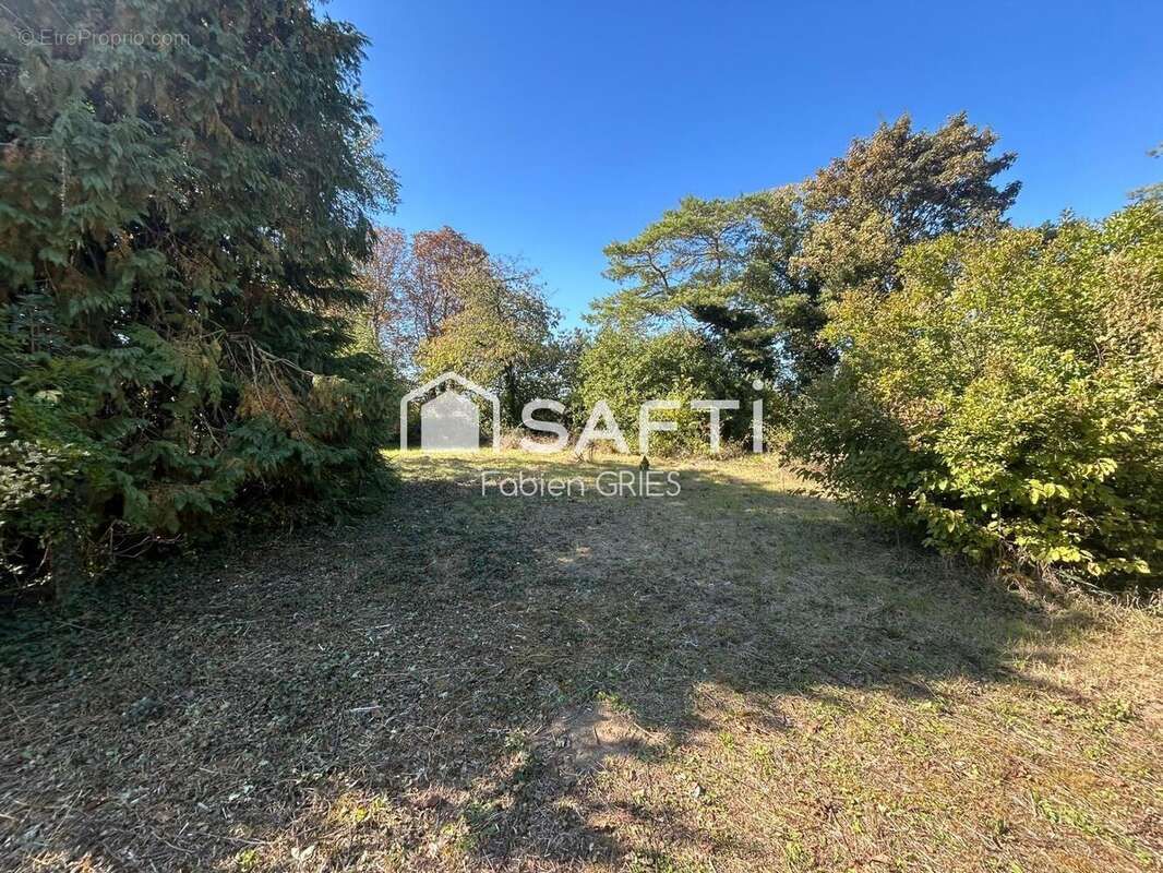 Photo 6 - Maison à NOTTONVILLE