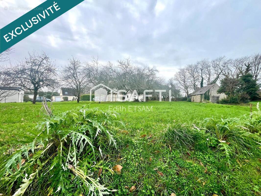 Photo 1 - Terrain à TREMEOC