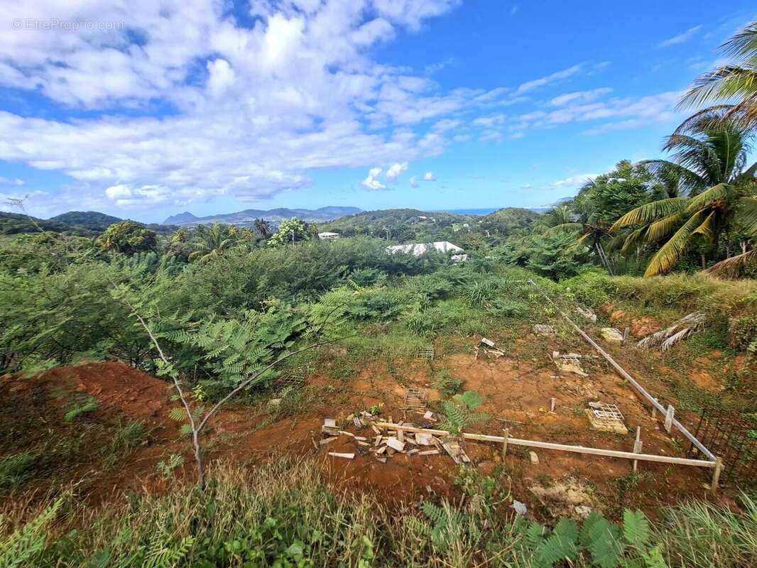 Terrain à RIVIERE-SALEE