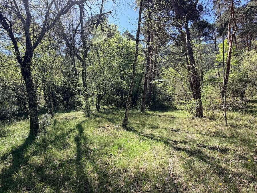 Terrain à PLAN-D'AUPS-SAINTE-BAUME