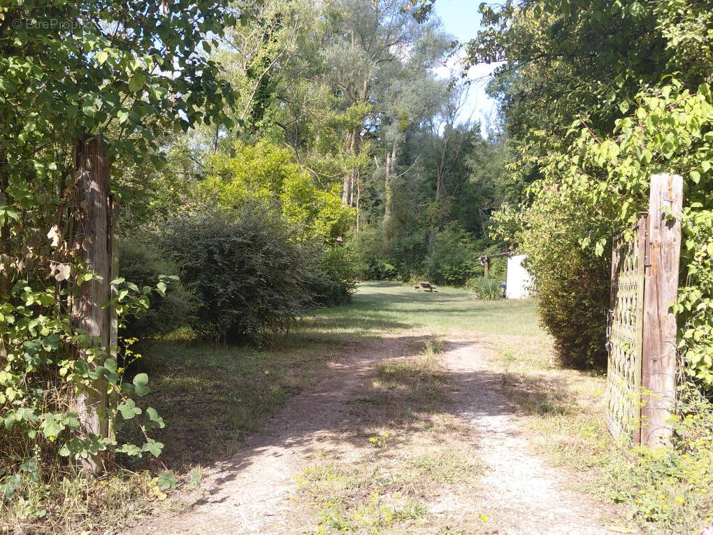 Terrain d'agrement avec chalet et postes de peche - photo 4