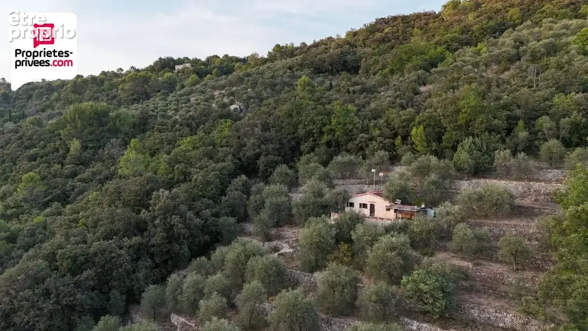 Magnifique Oliveraie et forêt avec Cabanon en vallée de la Siagne 16190 m2 - photo 4