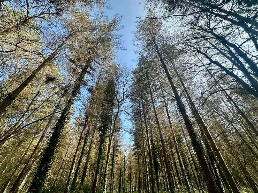 Maison à PONTVALLAIN