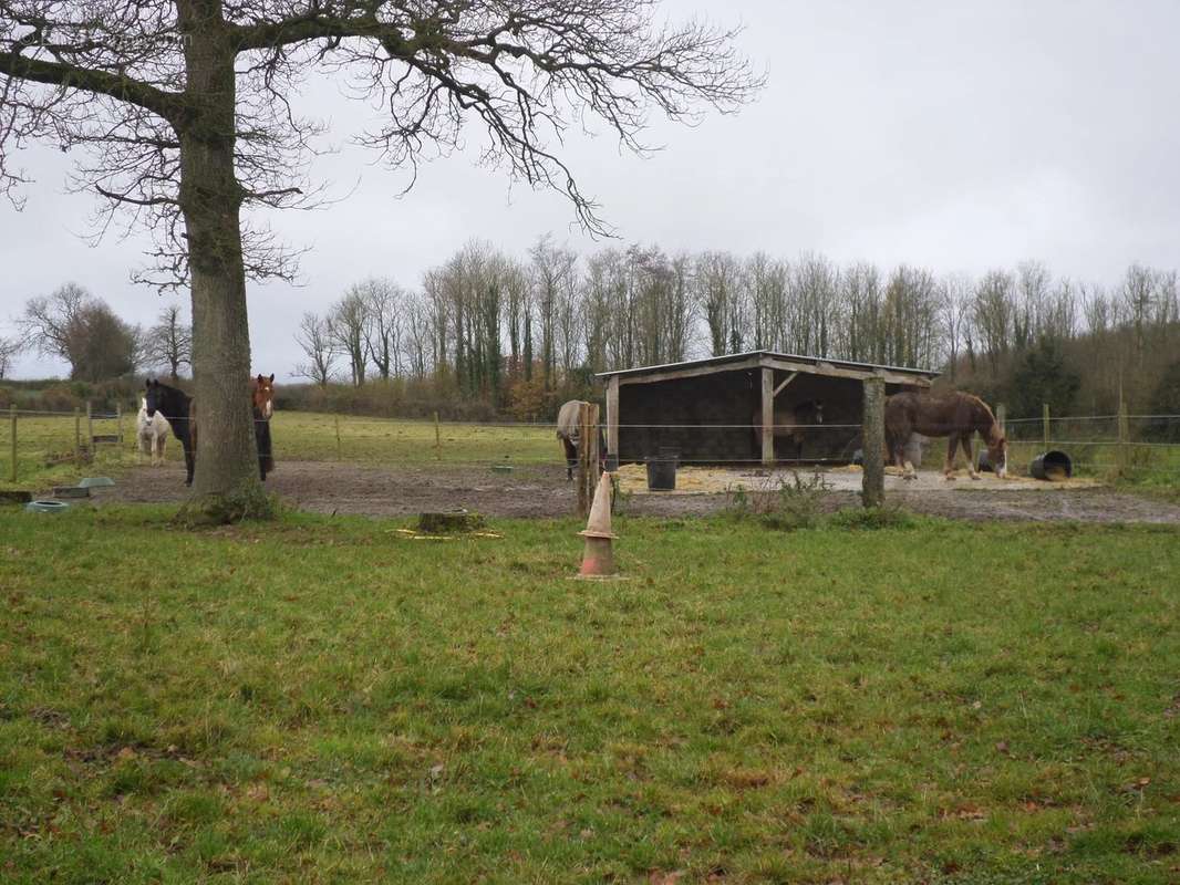 Maison à SAINT-MARTIN-CHOQUEL