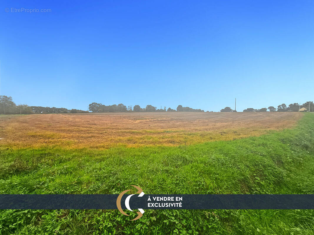 Terrain à VIEUX-VY-SUR-COUESNON