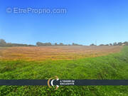 Terrain à VIEUX-VY-SUR-COUESNON